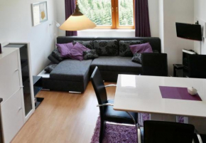 Apartmán U Sjezdovky, Ostružná